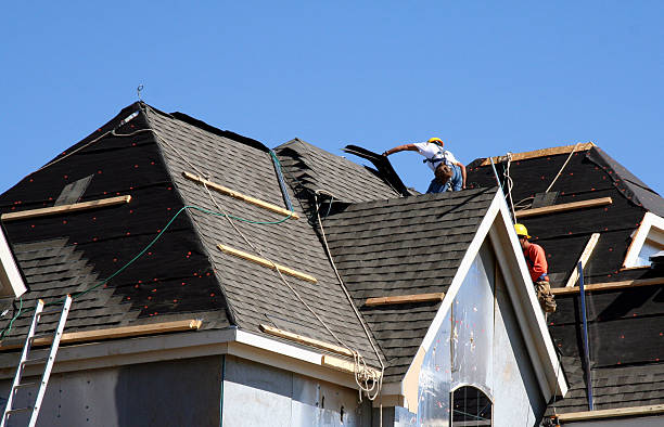 Best Local Roofing Companies  in Fulton, NY